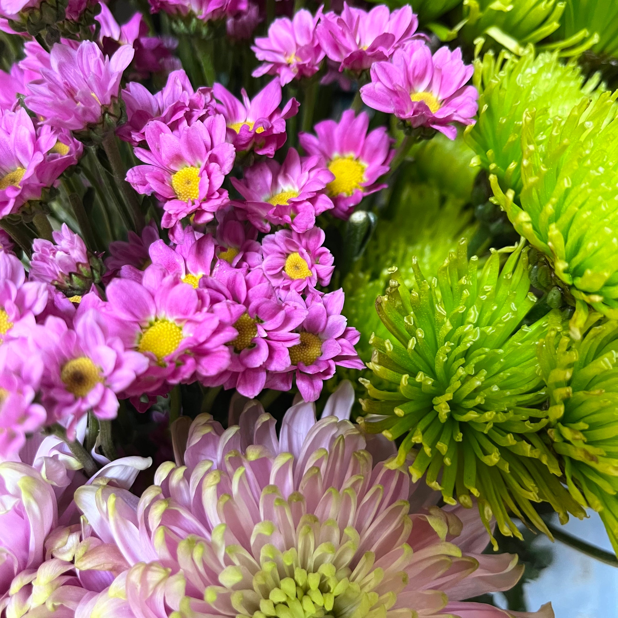 Strawberry Cream Cake